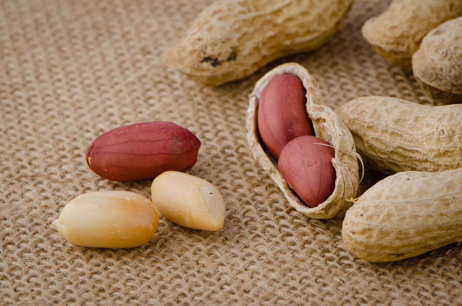 Peanuts